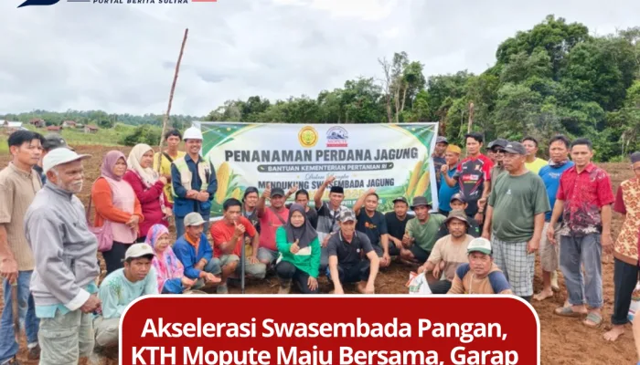 Akselerasi Swasembada Pangan, KTH Mopute Maju Bersama, Garap 378 Hektar Lahan di Routa