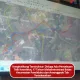 Kongkalikong Terstruktur: Diduga Ada Pemalsuan Titik Koordinat, 17 Tahun Maladministrasi Batas Kecamatan Pondidaha dan Amonggedo Tak Terselesaikan