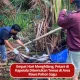 Empat Hari Menghilang, Petani di Kapoiala Ditemukan Tewas di Area Rawa Pohon Sagu