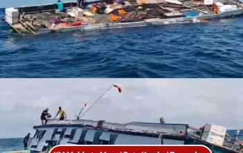 KM Mahkota Menui Rute Kendari Tenggelam di Perairan Samarengga, 29 Penumpang dan ABK Selamat Dievakuasi Nelayan